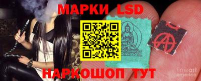 гидра Гатчина