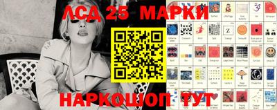 гидра Гатчина