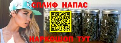 гидра Гатчина