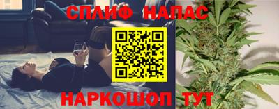 гидра Гатчина