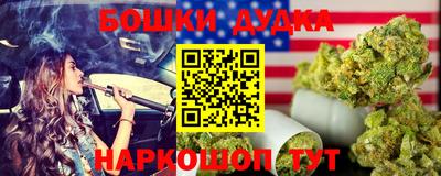 гидра Гатчина