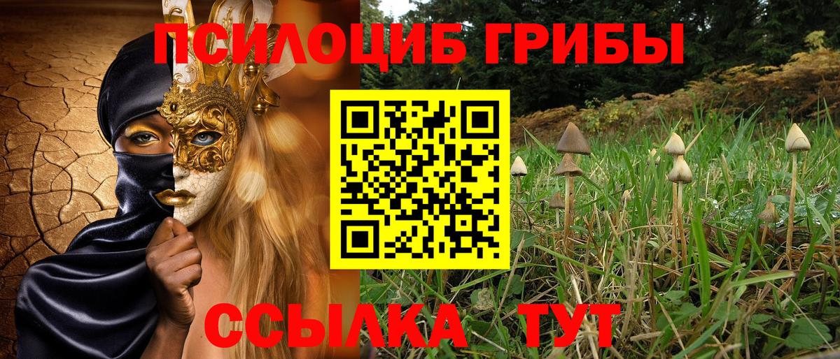 Псилоцибиновые грибы MAGIC MUSHROOMS Буйнакск